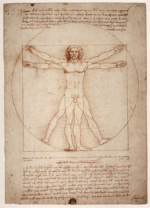 Leonardo da Vinci, Vetruvian man
